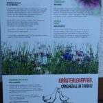 TEH – Rundweg auf der Gansmühle – Heimische Wildkräuter erkunden