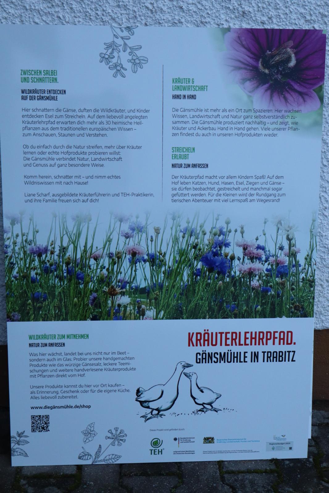 TEH – Rundweg auf der Gansmühle – Heimische Wildkräuter erkunden