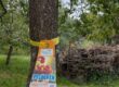 Baumanhänger Gelbes Band an einem Baum