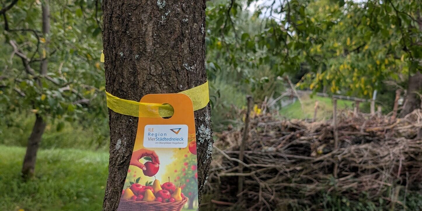 Anhänger_GelbesBand_Bild_PM Baumanhänger Gelbes Band an einem Baum