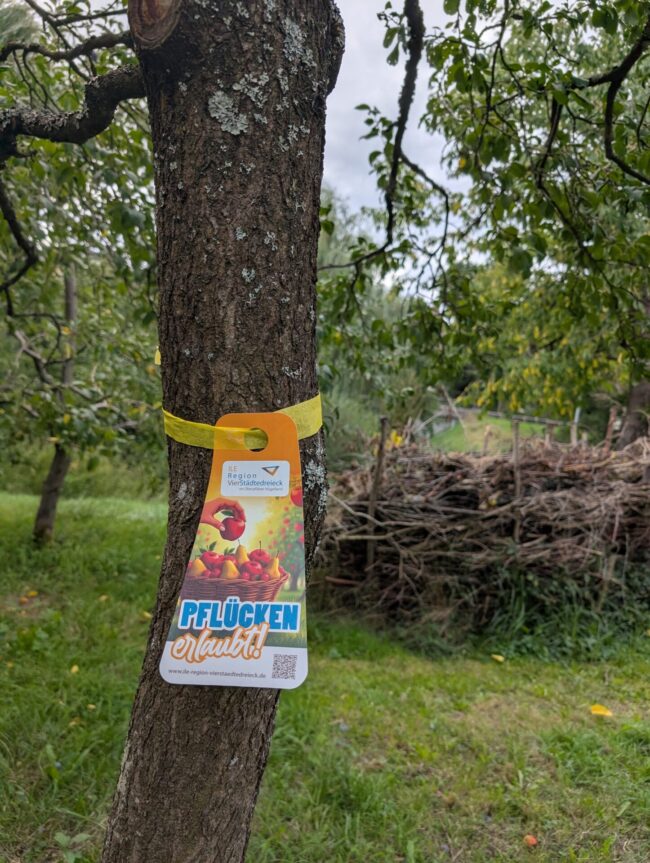 Anhänger_GelbesBand_Bild_PM Baumanhänger Gelbes Band an einem Baum