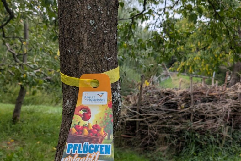 Baumanhänger Gelbes Band an einem Baum